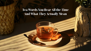 Tea Words You Hear All the Time — And What They Actually Mean