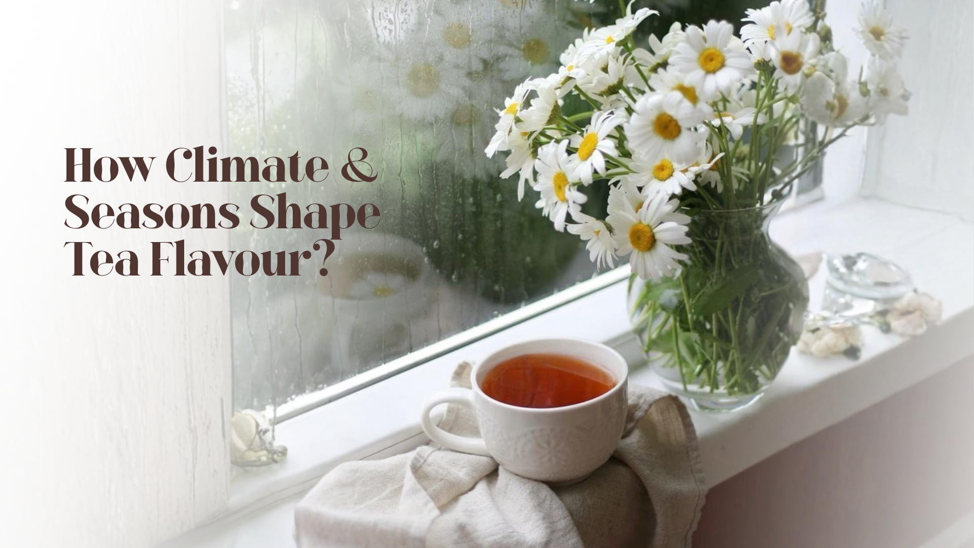 How Climate & Seasons Shape Tea Flavour? – Dolshyne