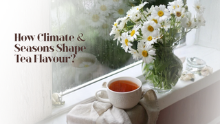 How Climate & Seasons Shape Tea Flavour?