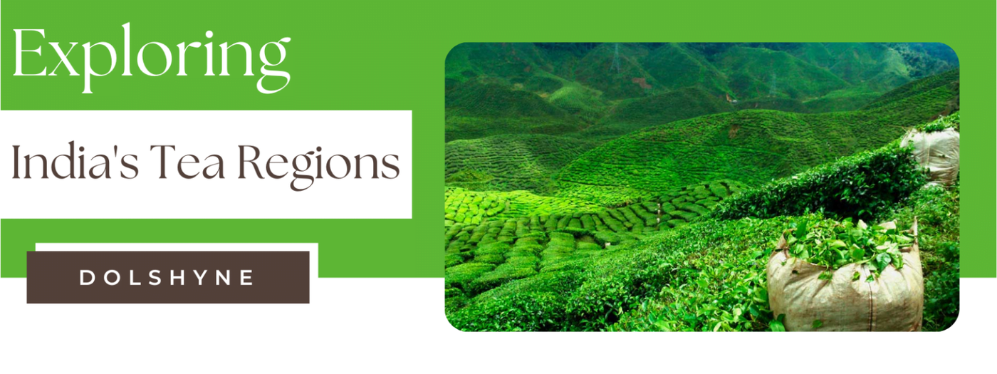 Exploring India’s Tea Regions: A Comprehensive Guide to the Different