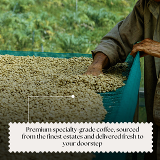 Ethiopia Yirgacheffe Boji Roasted Coffee