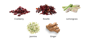 Dolshyne Cranberry Rush – Luxury Wellness Tisane
