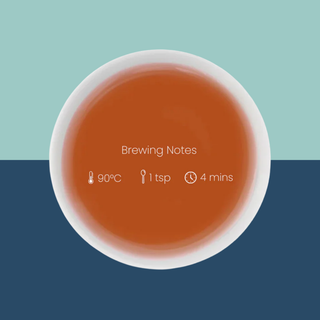 Nutri-Well Moringa Tea