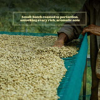 Southern Gem Peaberry Roasted Coffee
